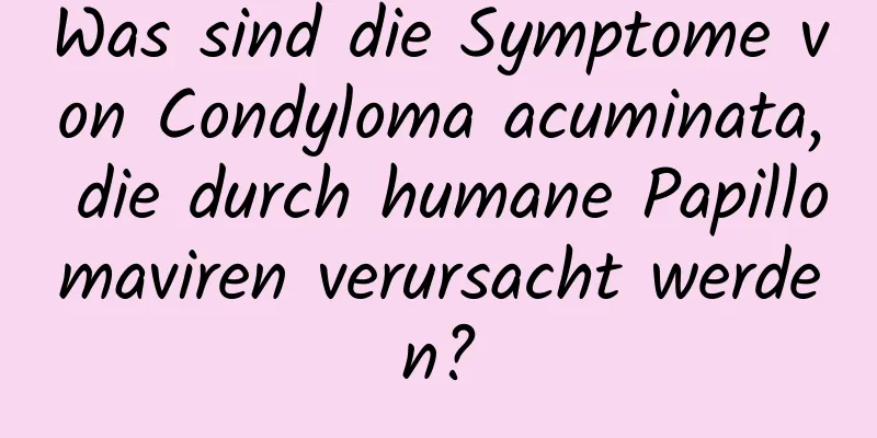 Was sind die Symptome von Condyloma acuminata, die durch humane Papillomaviren verursacht werden?