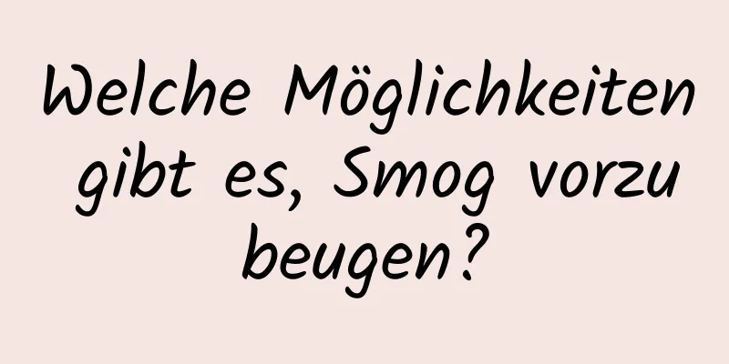 Welche Möglichkeiten gibt es, Smog vorzubeugen?