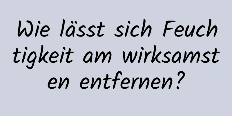 Wie lässt sich Feuchtigkeit am wirksamsten entfernen?