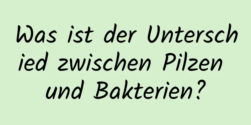 Was ist der Unterschied zwischen Pilzen und Bakterien?