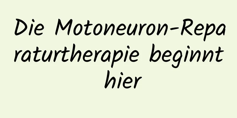 Die Motoneuron-Reparaturtherapie beginnt hier