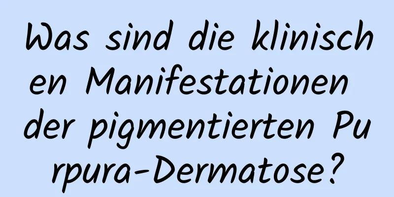 Was sind die klinischen Manifestationen der pigmentierten Purpura-Dermatose?