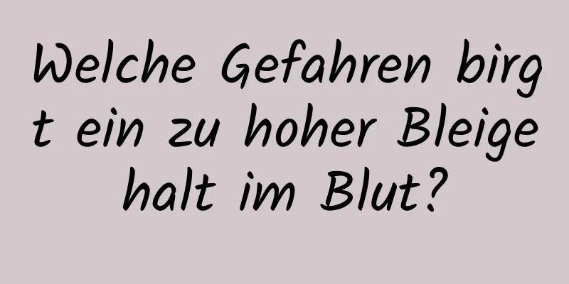 Welche Gefahren birgt ein zu hoher Bleigehalt im Blut?