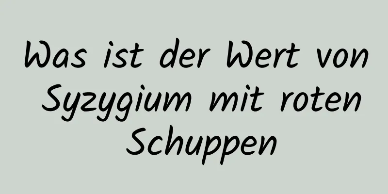 Was ist der Wert von Syzygium mit roten Schuppen
