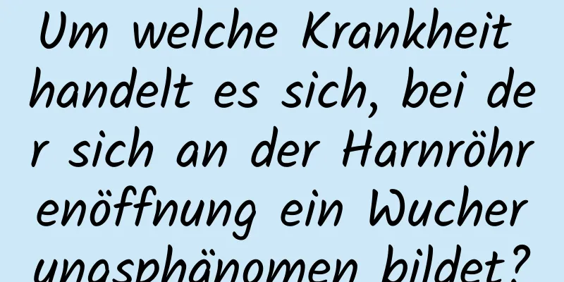 Um welche Krankheit handelt es sich, bei der sich an der Harnröhrenöffnung ein Wucherungsphänomen bildet?