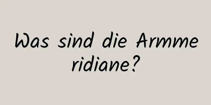 Was sind die Armmeridiane?