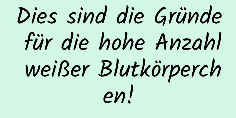 Dies sind die Gründe für die hohe Anzahl weißer Blutkörperchen!