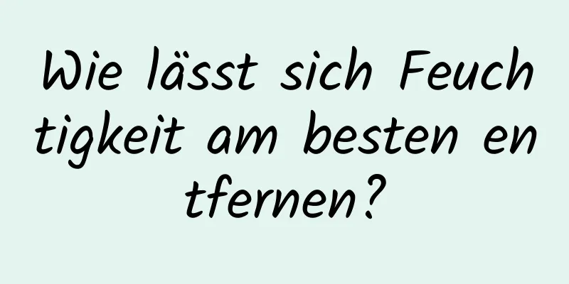 Wie lässt sich Feuchtigkeit am besten entfernen?