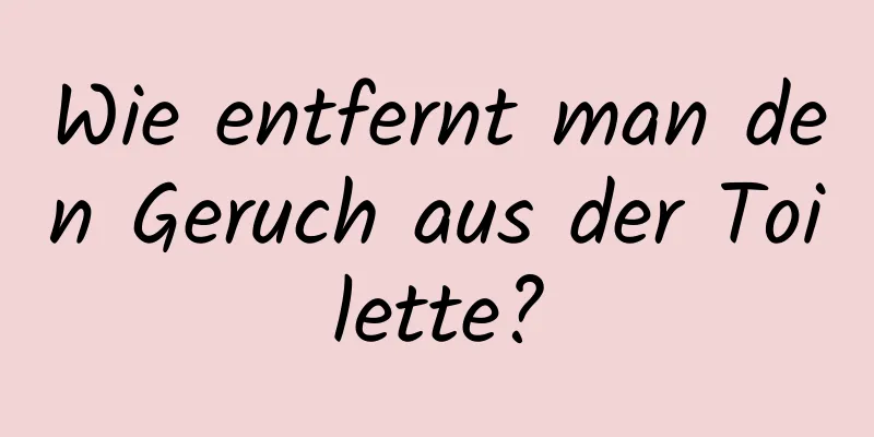 Wie entfernt man den Geruch aus der Toilette?
