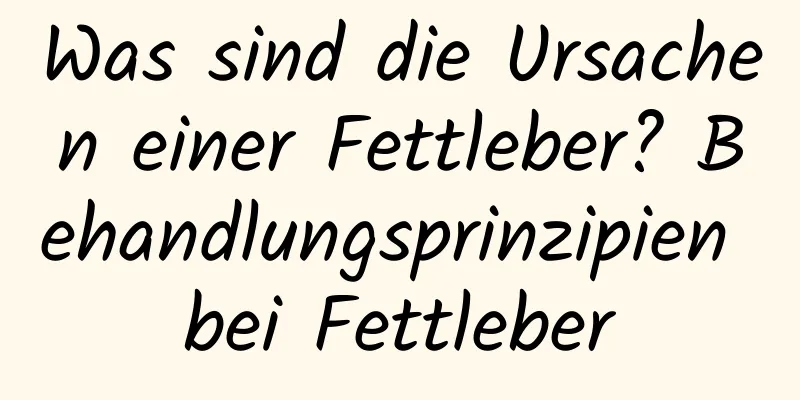 Was sind die Ursachen einer Fettleber? Behandlungsprinzipien bei Fettleber
