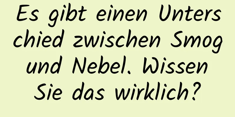 Es gibt einen Unterschied zwischen Smog und Nebel. Wissen Sie das wirklich?