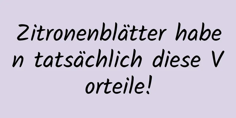 Zitronenblätter haben tatsächlich diese Vorteile!