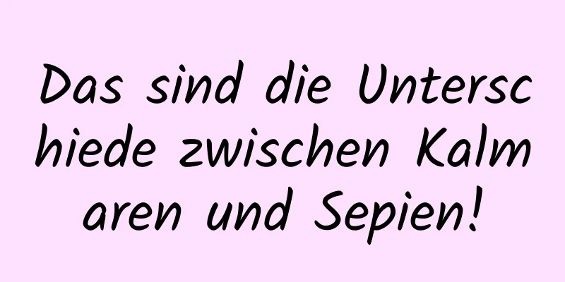 Das sind die Unterschiede zwischen Kalmaren und Sepien!
