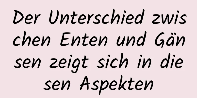 Der Unterschied zwischen Enten und Gänsen zeigt sich in diesen Aspekten