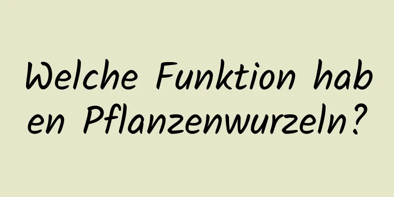 Welche Funktion haben Pflanzenwurzeln?