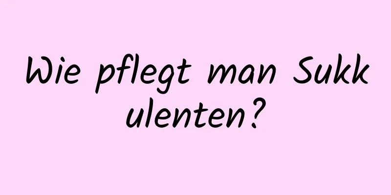 Wie pflegt man Sukkulenten?