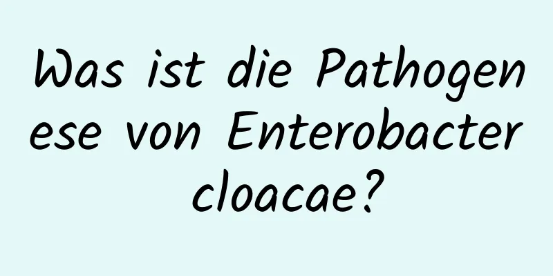 Was ist die Pathogenese von Enterobacter cloacae?