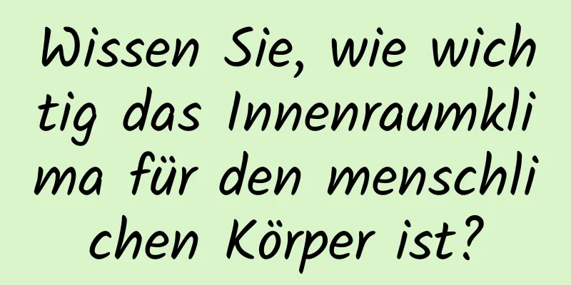 Wissen Sie, wie wichtig das Innenraumklima für den menschlichen Körper ist?