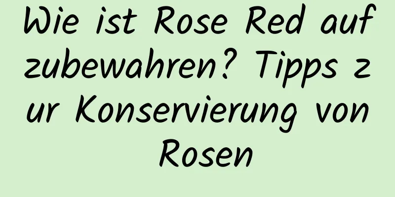 Wie ist Rose Red aufzubewahren? Tipps zur Konservierung von Rosen