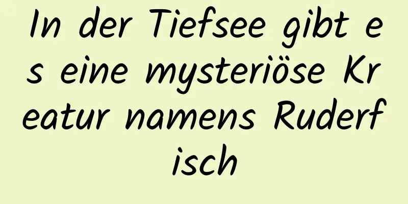 In der Tiefsee gibt es eine mysteriöse Kreatur namens Ruderfisch