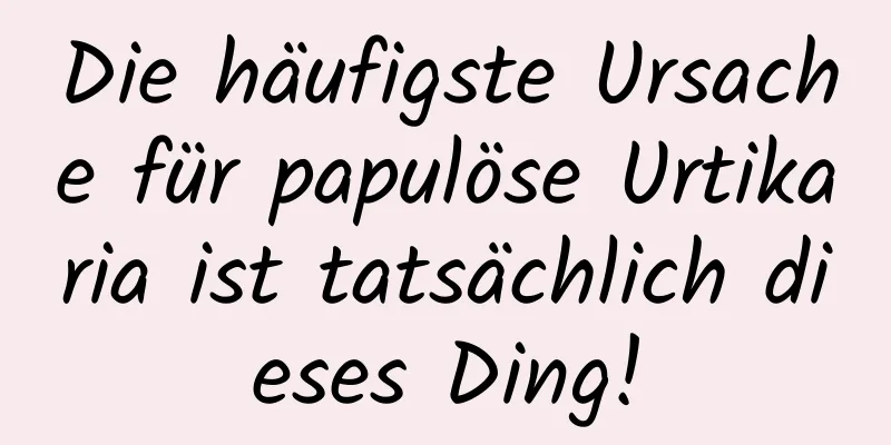 Die häufigste Ursache für papulöse Urtikaria ist tatsächlich dieses Ding!