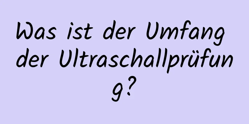 Was ist der Umfang der Ultraschallprüfung?