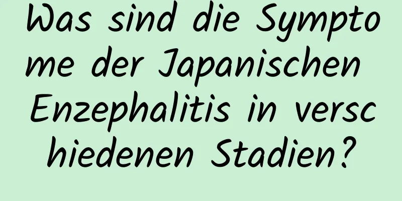 Was sind die Symptome der Japanischen Enzephalitis in verschiedenen Stadien?