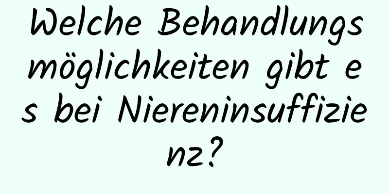 Welche Behandlungsmöglichkeiten gibt es bei Niereninsuffizienz?