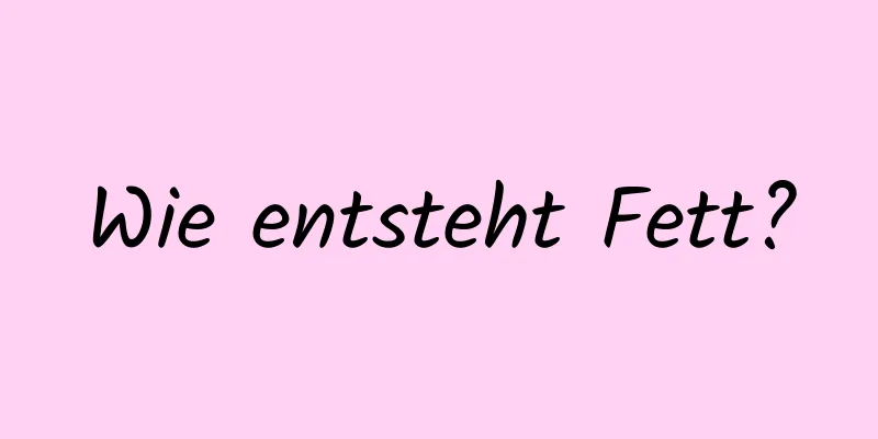 Wie entsteht Fett?