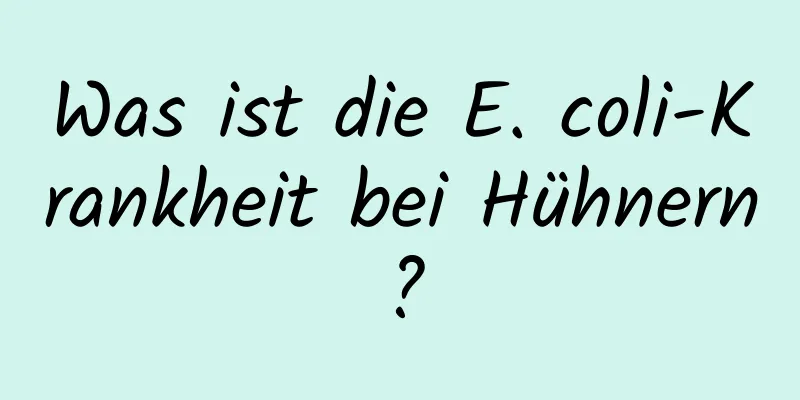Was ist die E. coli-Krankheit bei Hühnern?