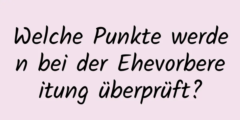 Welche Punkte werden bei der Ehevorbereitung überprüft?