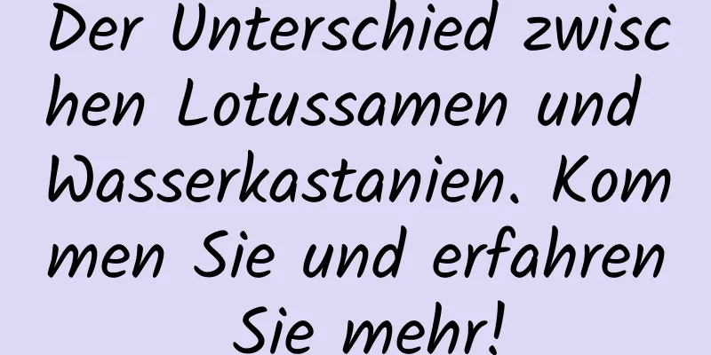 Der Unterschied zwischen Lotussamen und Wasserkastanien. Kommen Sie und erfahren Sie mehr!