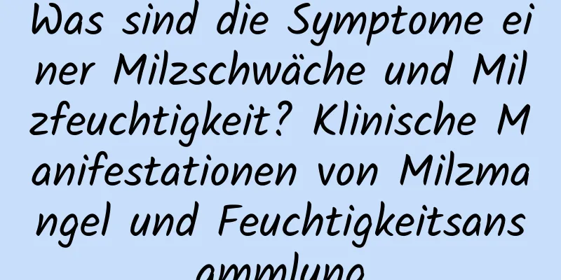 Was sind die Symptome einer Milzschwäche und Milzfeuchtigkeit? Klinische Manifestationen von Milzmangel und Feuchtigkeitsansammlung