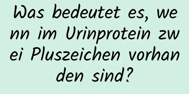 Was bedeutet es, wenn im Urinprotein zwei Pluszeichen vorhanden sind?