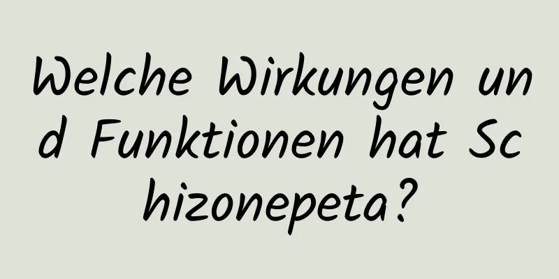 Welche Wirkungen und Funktionen hat Schizonepeta?