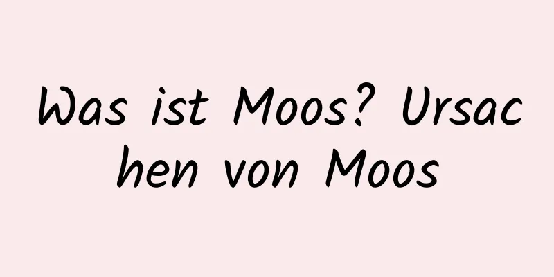 Was ist Moos? Ursachen von Moos