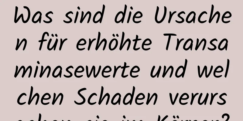 Was sind die Ursachen für erhöhte Transaminasewerte und welchen Schaden verursachen sie im Körper?