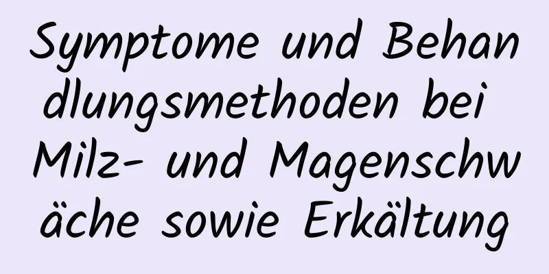 Symptome und Behandlungsmethoden bei Milz- und Magenschwäche sowie Erkältung