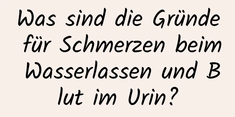 Was sind die Gründe für Schmerzen beim Wasserlassen und Blut im Urin?