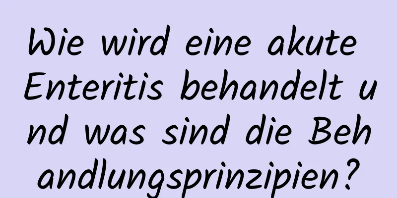 Wie wird eine akute Enteritis behandelt und was sind die Behandlungsprinzipien?