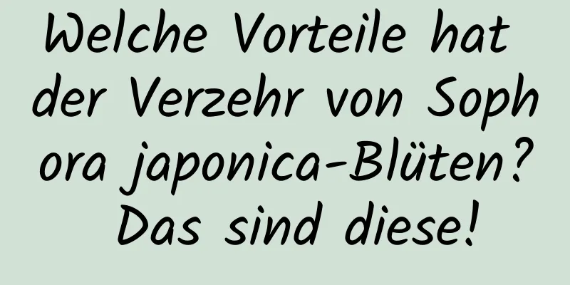 Welche Vorteile hat der Verzehr von Sophora japonica-Blüten? Das sind diese!