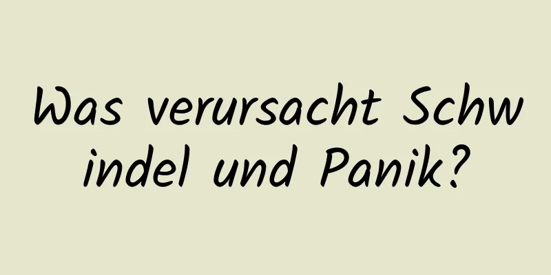 Was verursacht Schwindel und Panik?