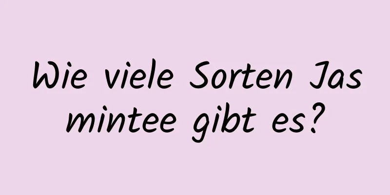 Wie viele Sorten Jasmintee gibt es?