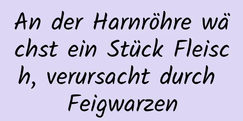 An der Harnröhre wächst ein Stück Fleisch, verursacht durch Feigwarzen