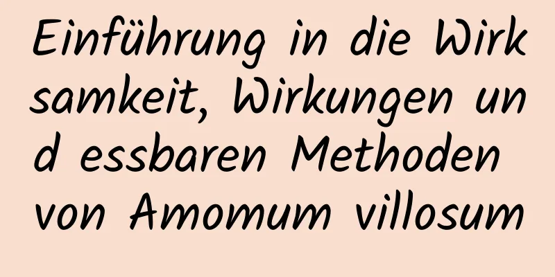Einführung in die Wirksamkeit, Wirkungen und essbaren Methoden von Amomum villosum