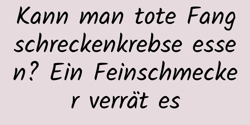 Kann man tote Fangschreckenkrebse essen? Ein Feinschmecker verrät es
