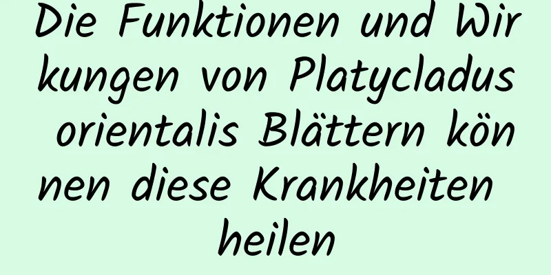 Die Funktionen und Wirkungen von Platycladus orientalis Blättern können diese Krankheiten heilen