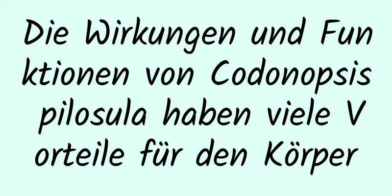 Die Wirkungen und Funktionen von Codonopsis pilosula haben viele Vorteile für den Körper
