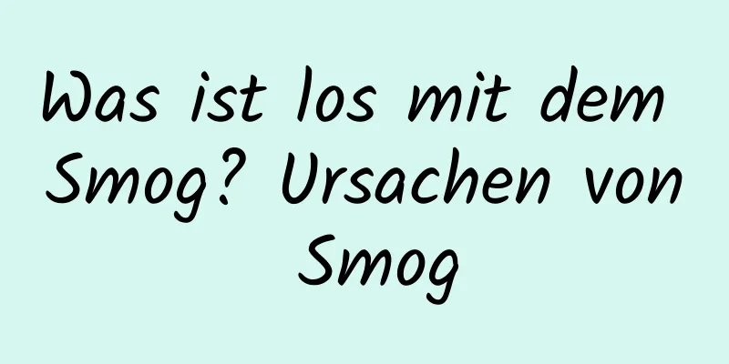 Was ist los mit dem Smog? Ursachen von Smog