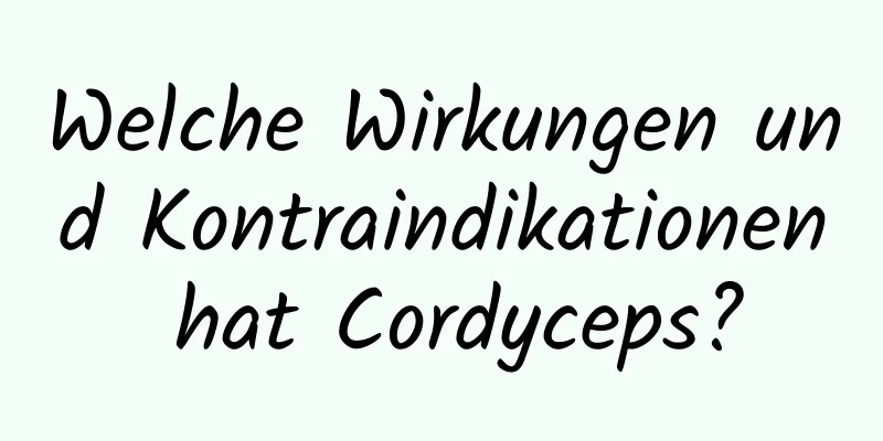 Welche Wirkungen und Kontraindikationen hat Cordyceps?